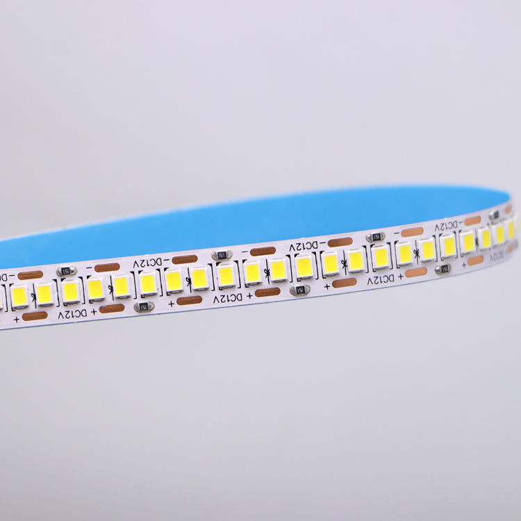 DC12V/24V 10mm 5M/Roll 2835 80Ra светодиодная лента с белым ПКБ и углом луча 120°