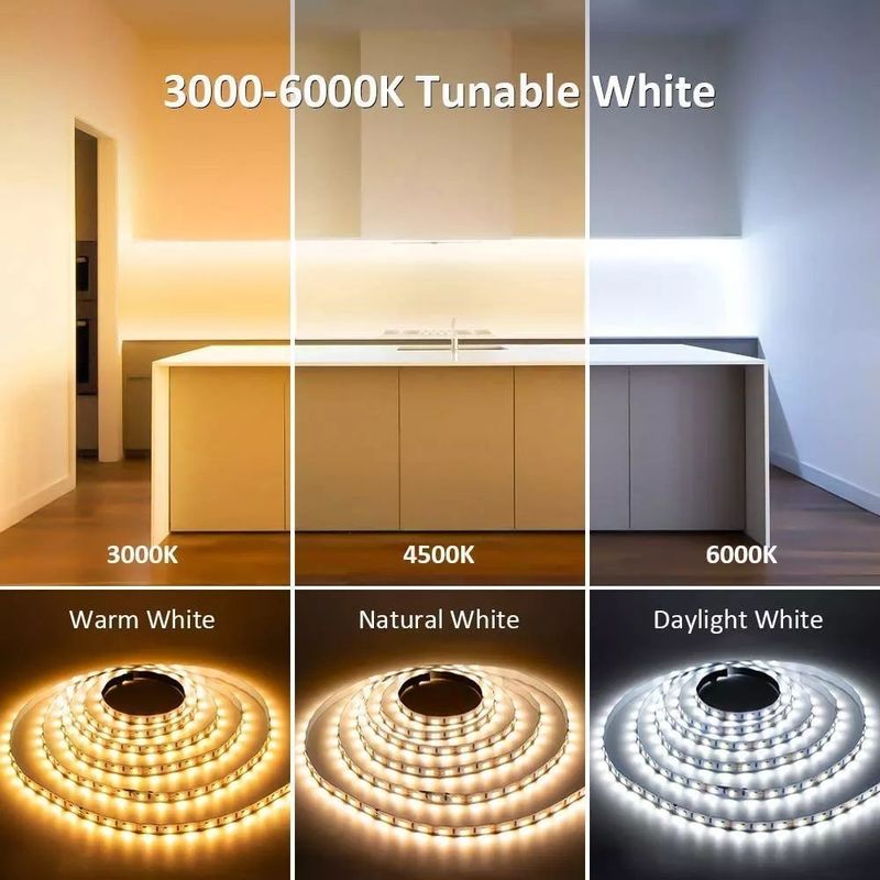 Оценка IP20 Ландшафтное освещение 5m 10m 12v 24v 220v Rgbw Cob Light Strip