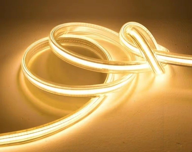 220V 110V умные светодиодные ленты современные водонепроницаемые наружные длинные полосы освещения с EU-насосом US-насосом